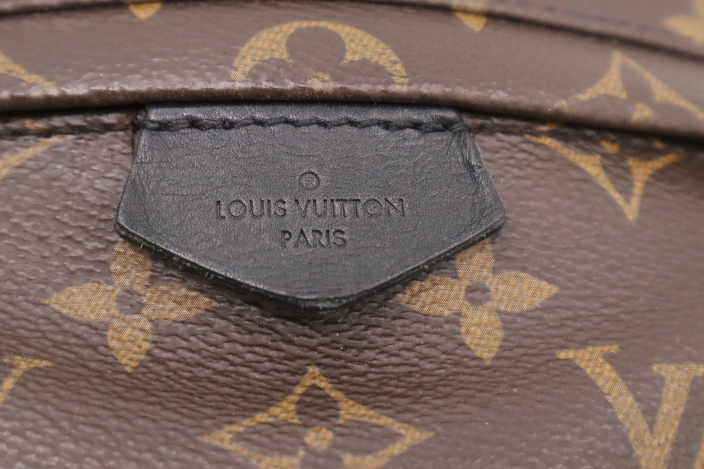 Louis Vuitton Palm Springs PM in Monogram Canvas