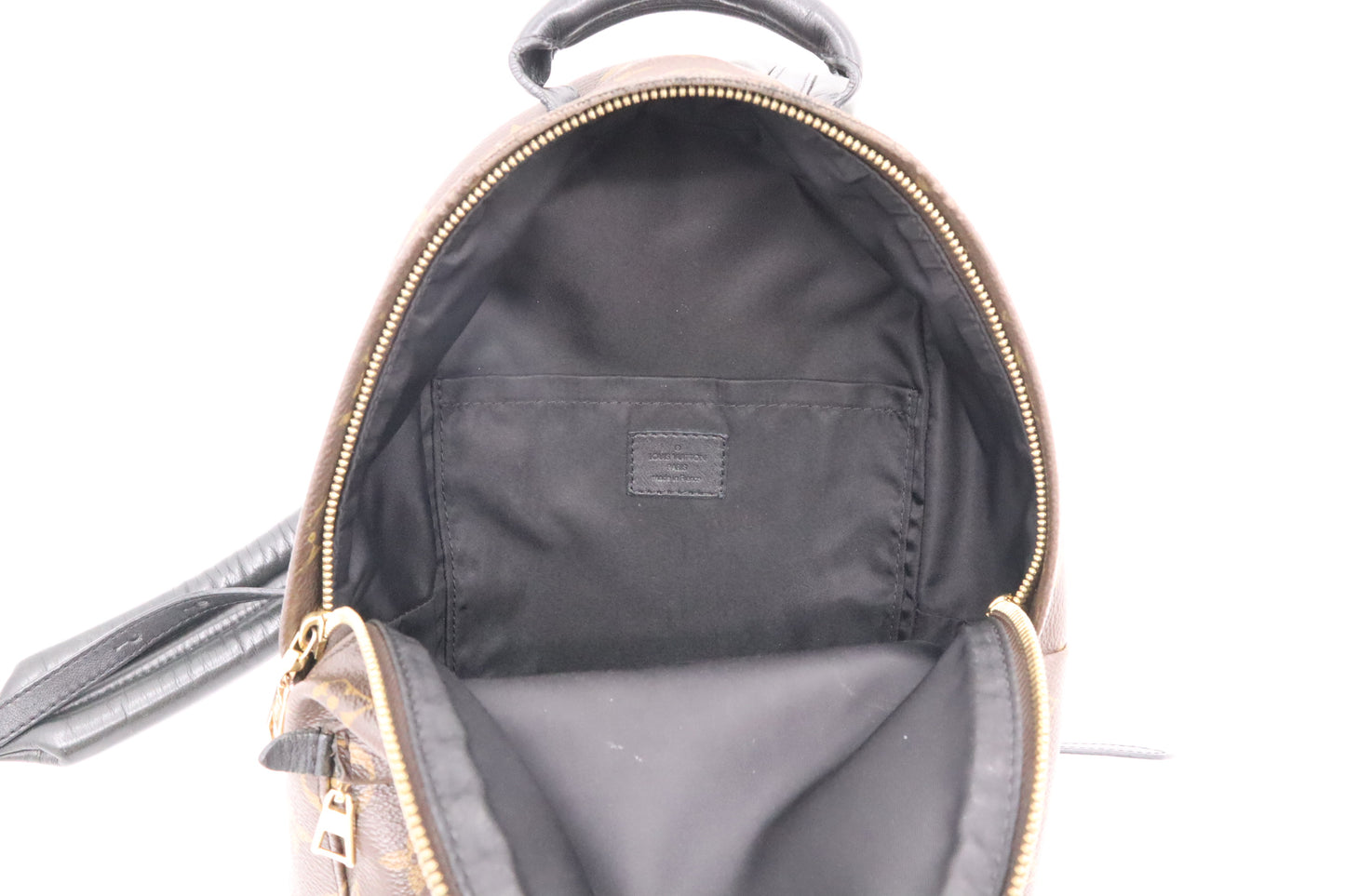 Louis Vuitton Palm Springs PM in Monogram Canvas