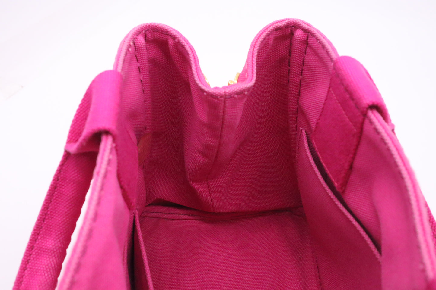 Prada Canapa in Pink Canvas