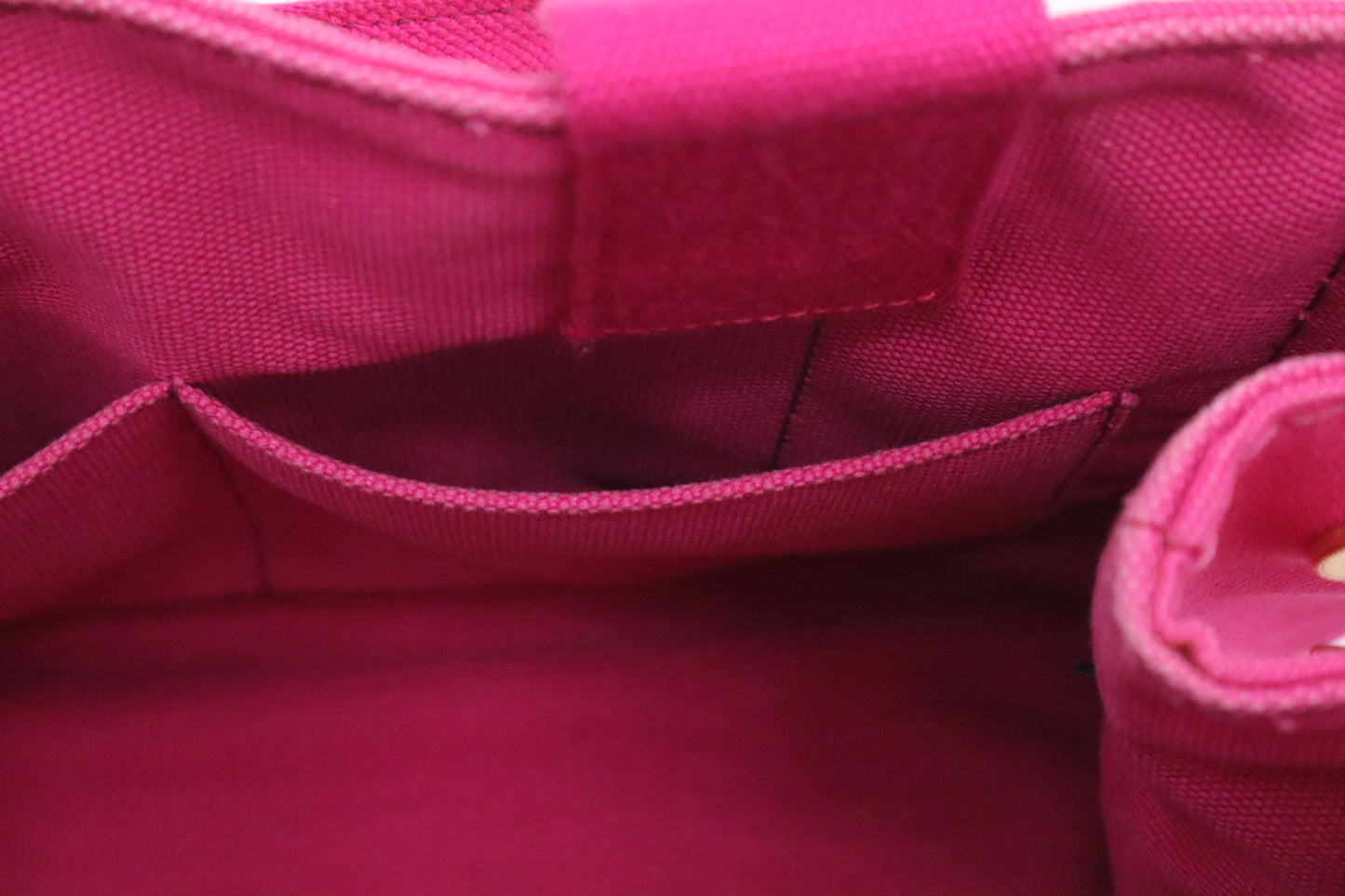 Prada Canapa in Pink Canvas