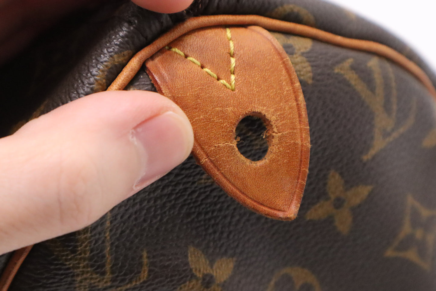 Louis Vuitton Speedy 30 in Monogram Canvas