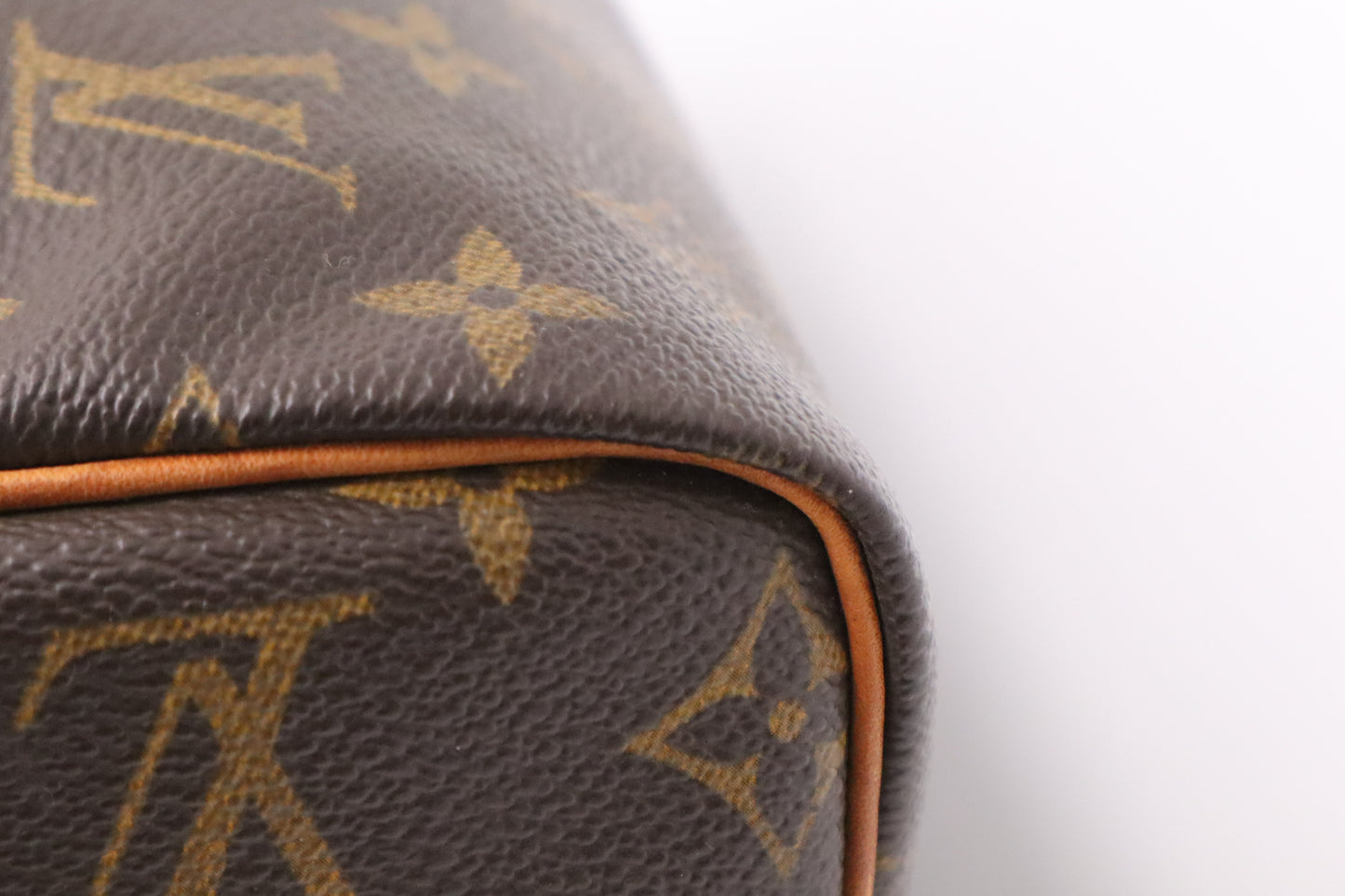 Louis Vuitton Speedy 30 in Monogram Canvas