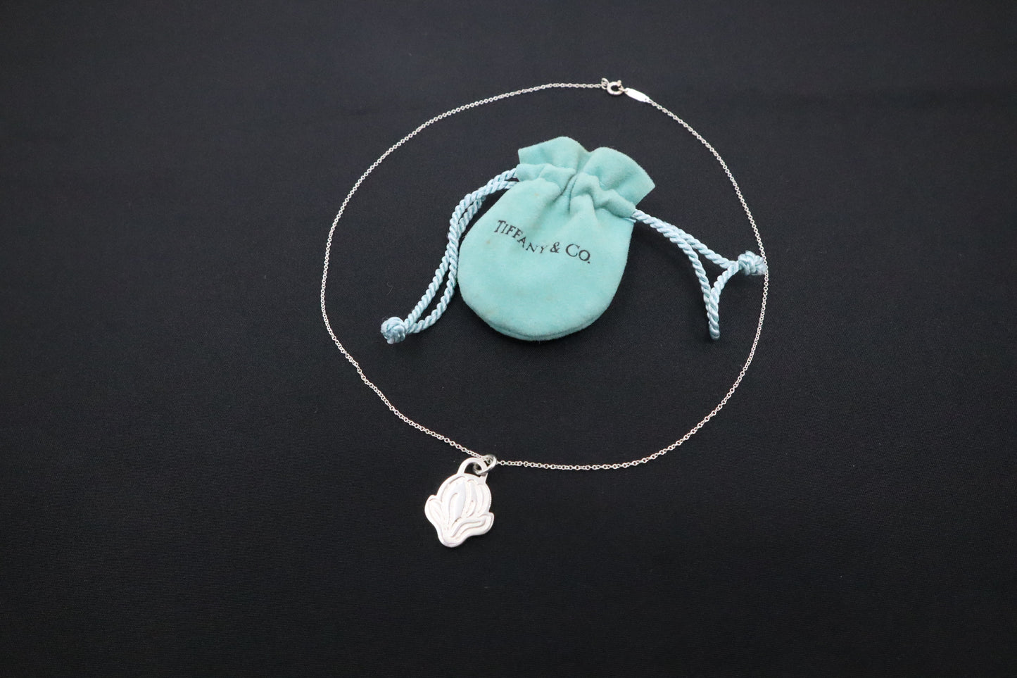 Tiffany & Co. Go Women 2019 Necklace in Sterling Silver