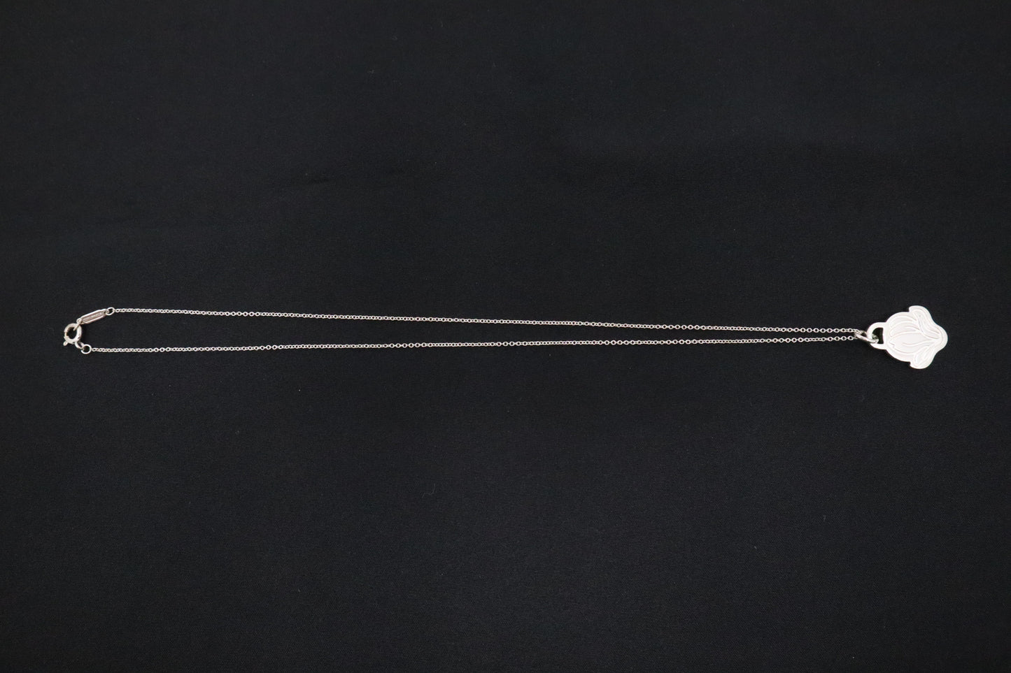 Tiffany & Co. Go Women 2019 Necklace in Sterling Silver