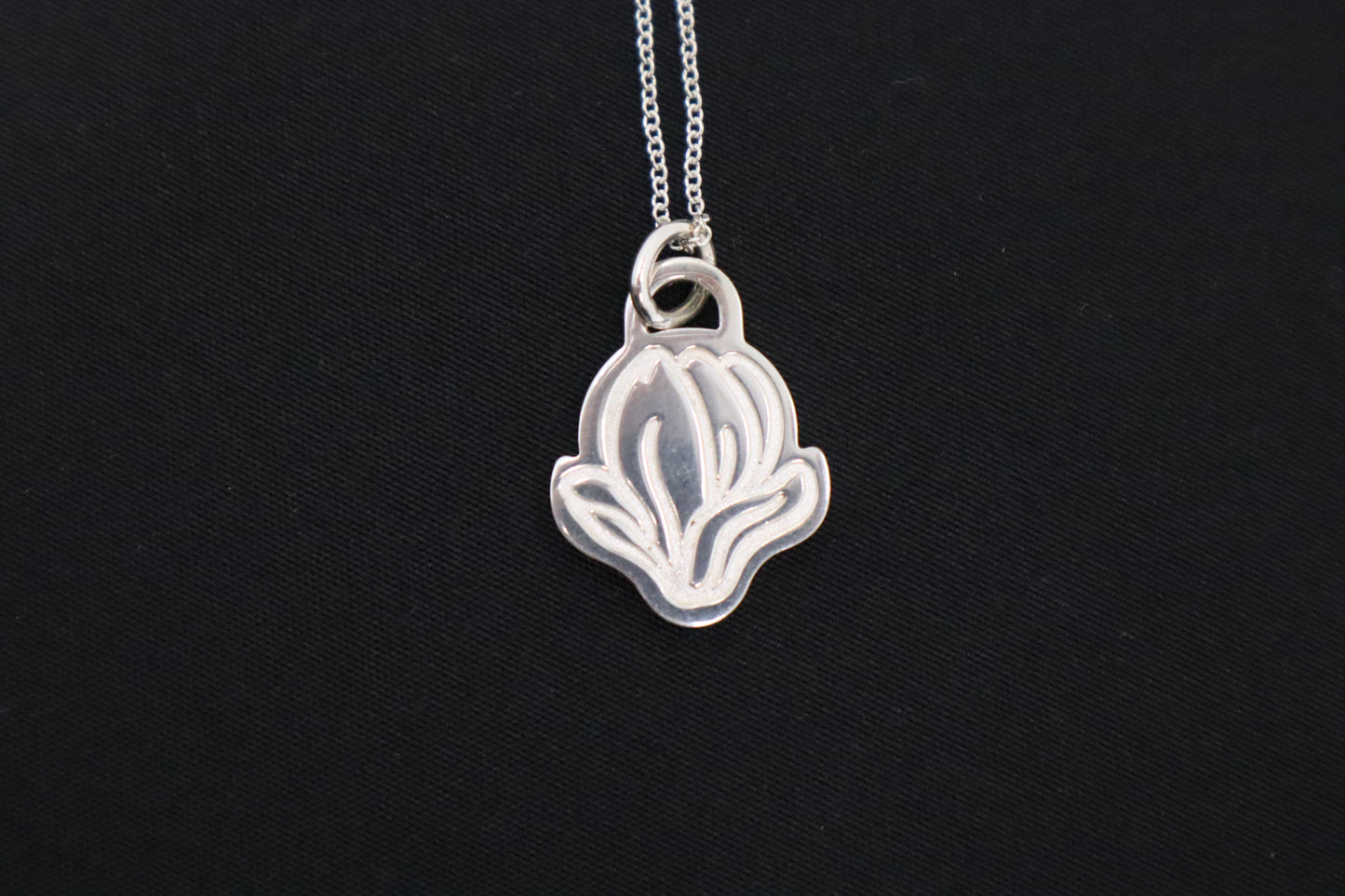 Tiffany & Co. Go Women 2019 Necklace in Sterling Silver