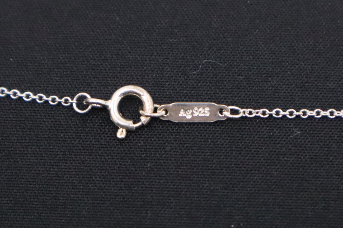 Tiffany & Co. Go Women 2019 Necklace in Sterling Silver