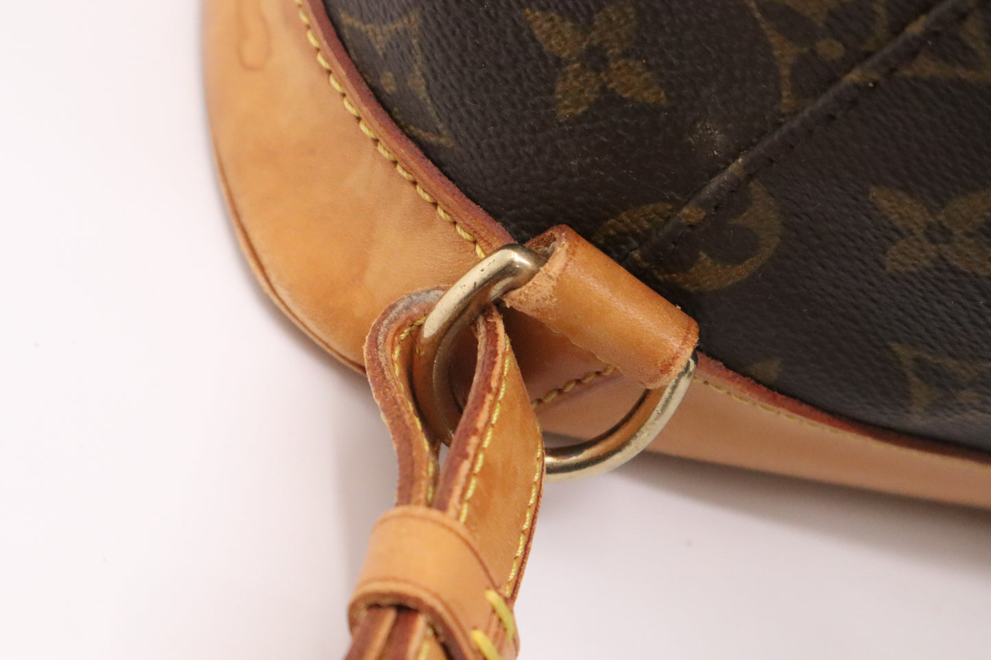 Louis Vuitton Montsouris GM in Monogram Canvas