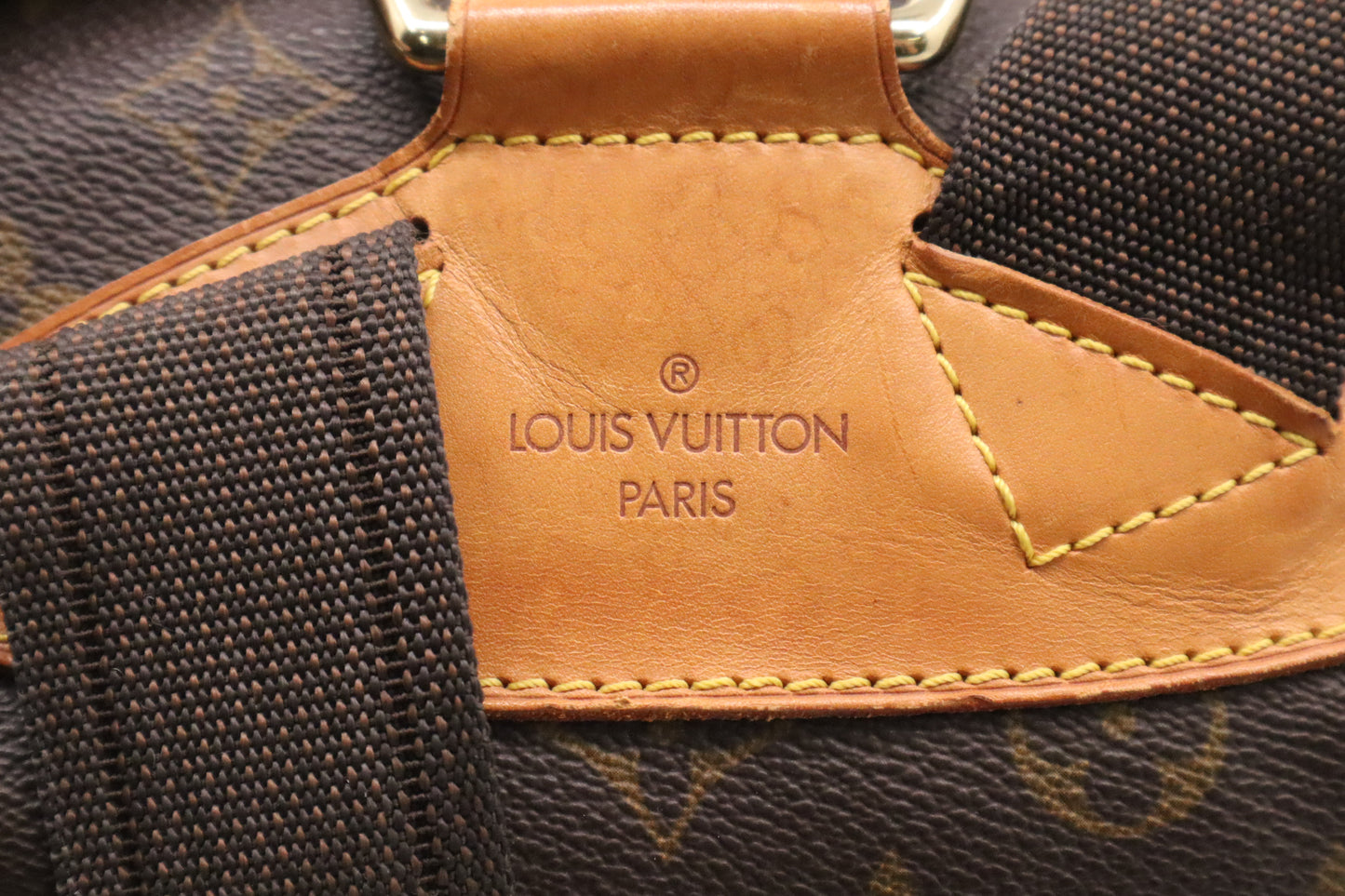 Louis Vuitton Montsouris GM in Monogram Canvas