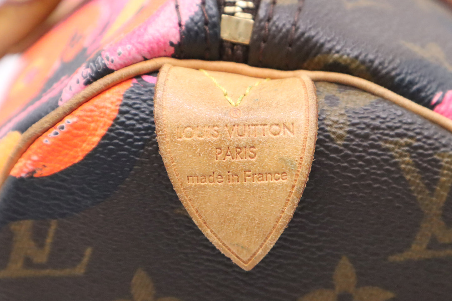 Louis Vuitton x Stephen Sprouse Speedy 30 in Monogram Roses Canvas
