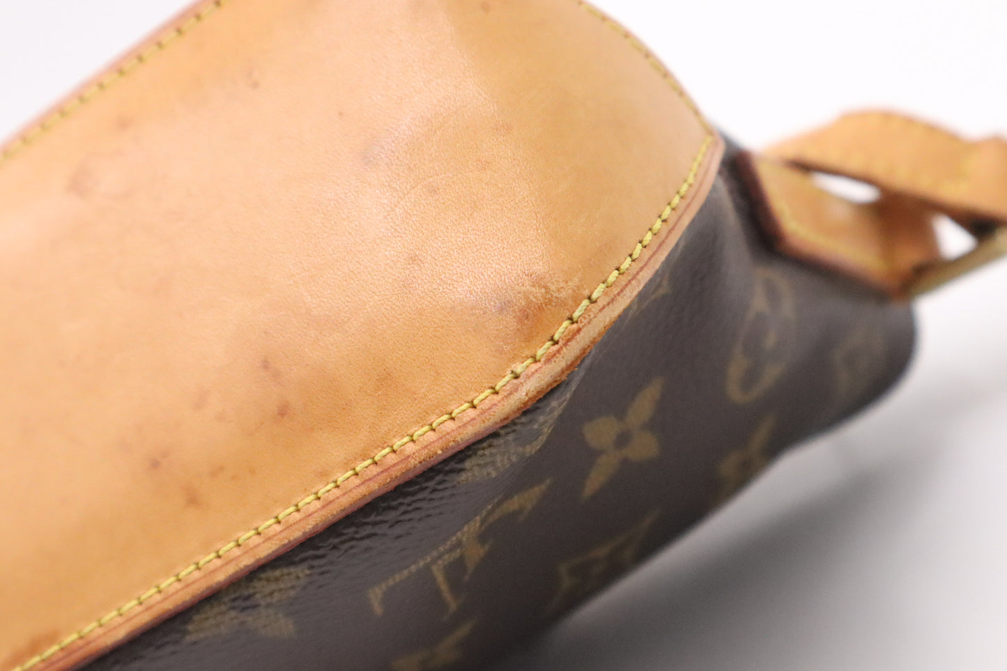 Louis Vuitton Trotteur in Monogram Canvas