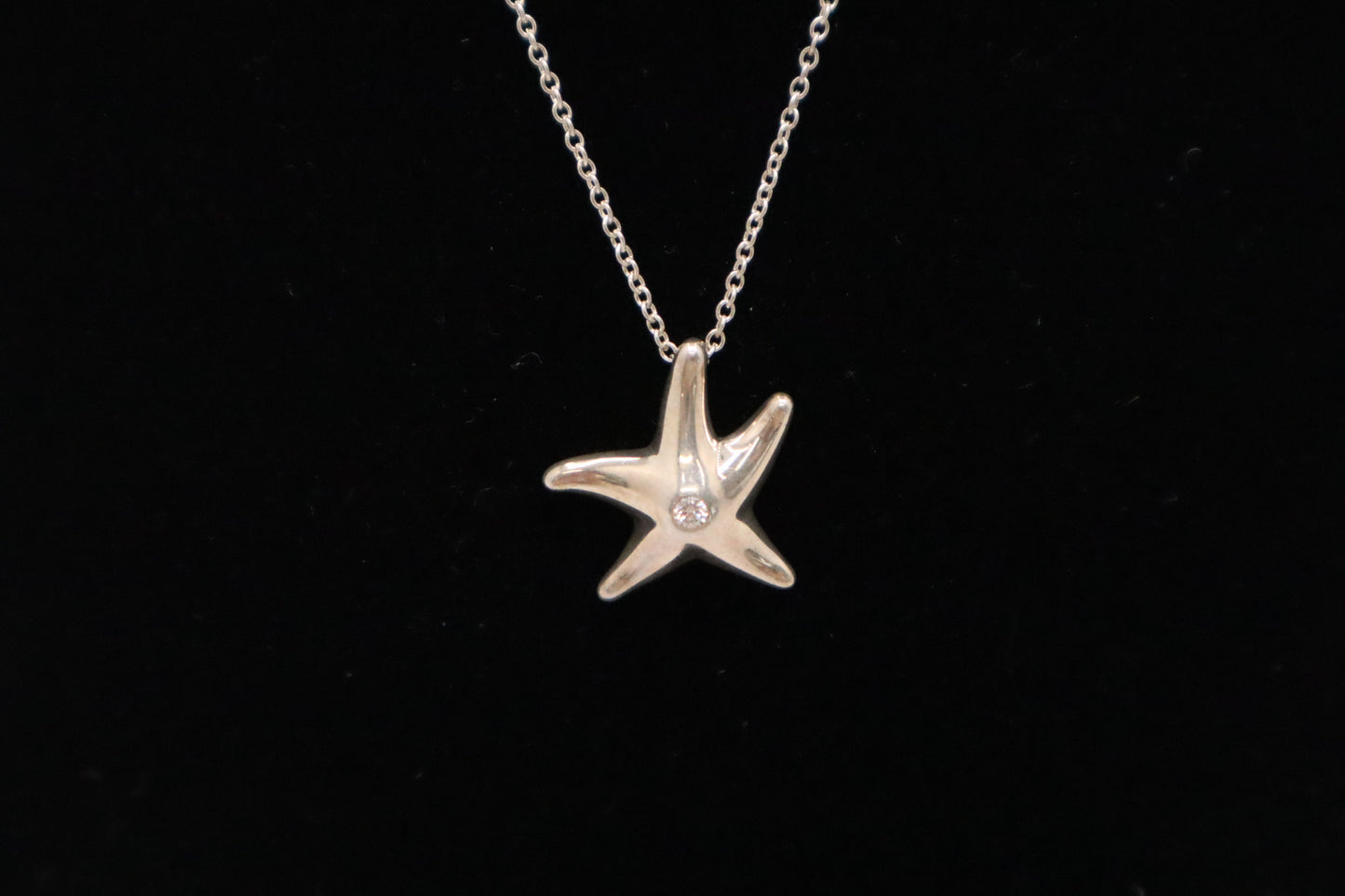 Tiffany&Co. Starfish Pendant in Sterling Silver