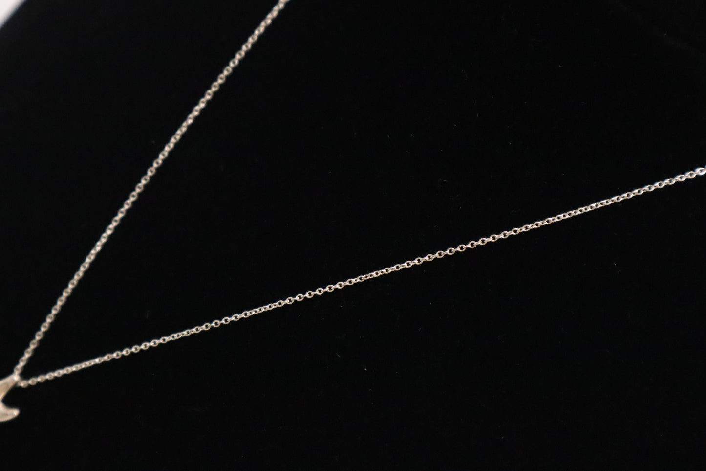 Tiffany&Co. Starfish Pendant in Sterling Silver