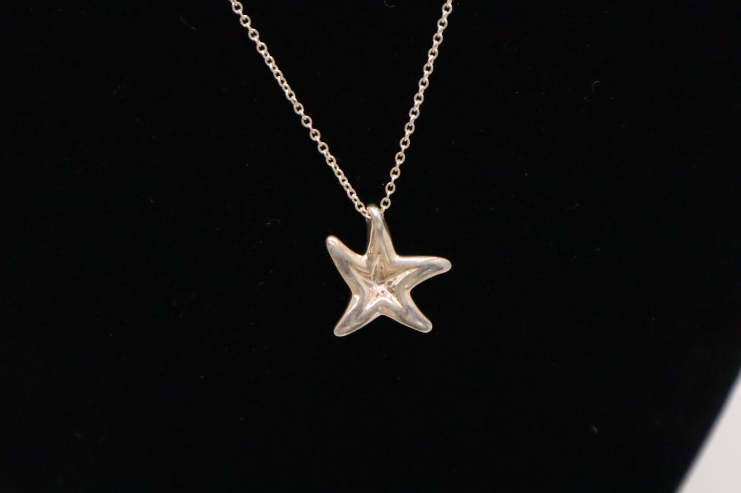 Tiffany&Co. Starfish Pendant in Sterling Silver