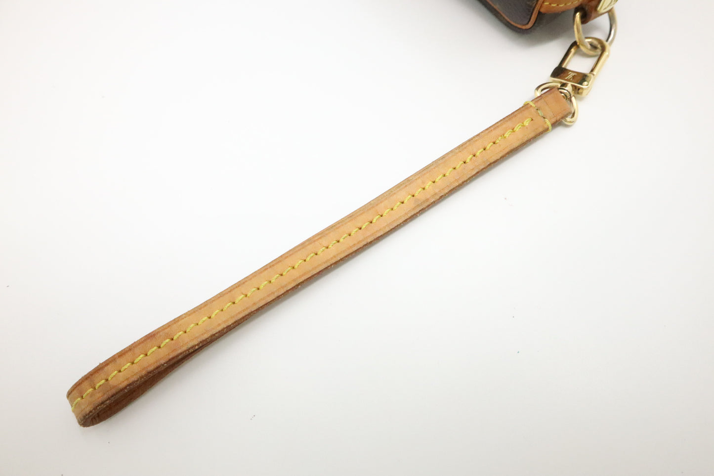 Louis Vuitton Wapity Wrist Pouch in Monogram Canvas