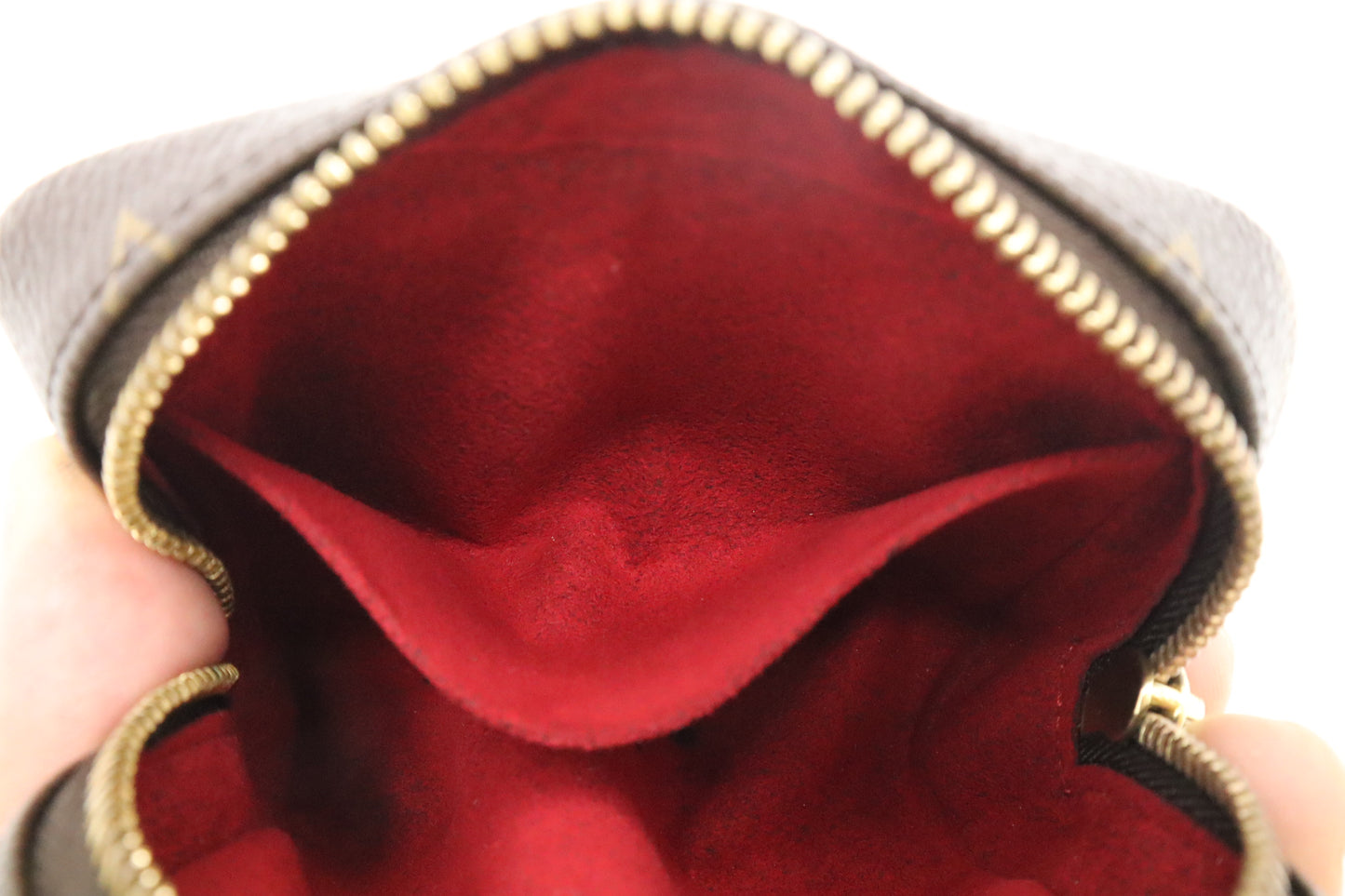 Louis Vuitton Wapity Wrist Pouch in Monogram Canvas