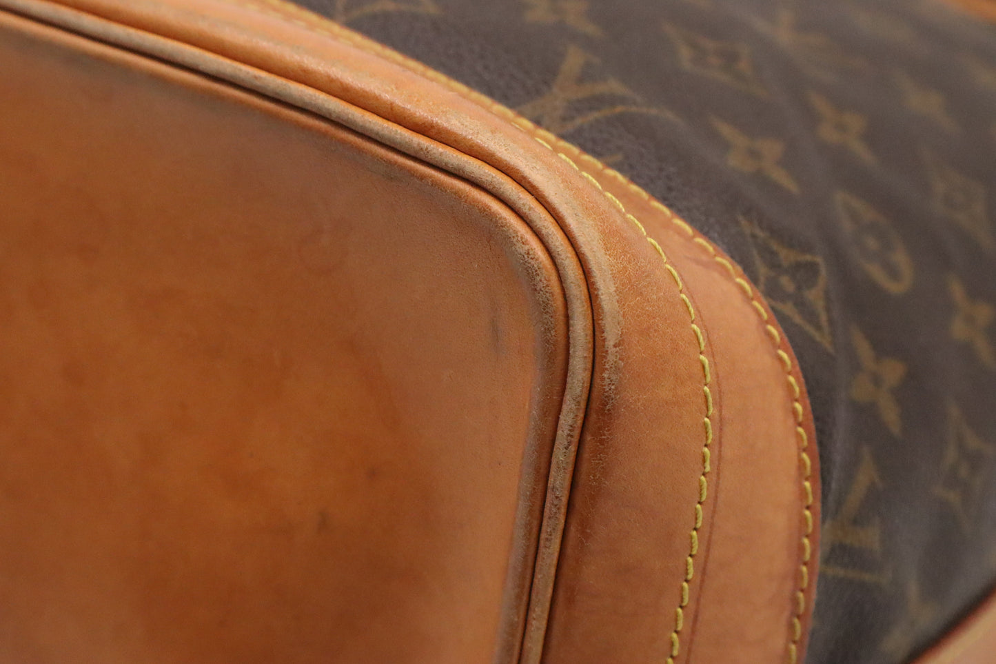 Louis Vuitton Noe in Monogram Canvas