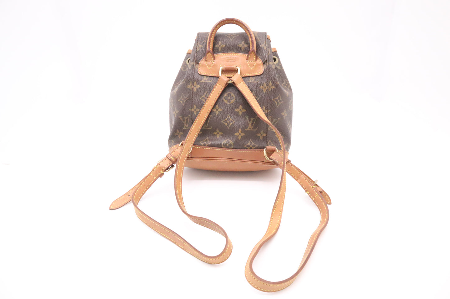 Louis Vuitton Montsouris PM in Monogram Canvas