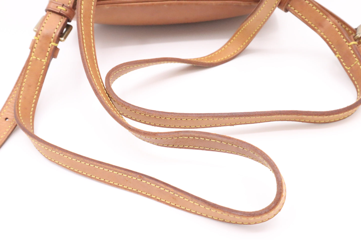 Louis Vuitton Montsouris PM in Monogram Canvas