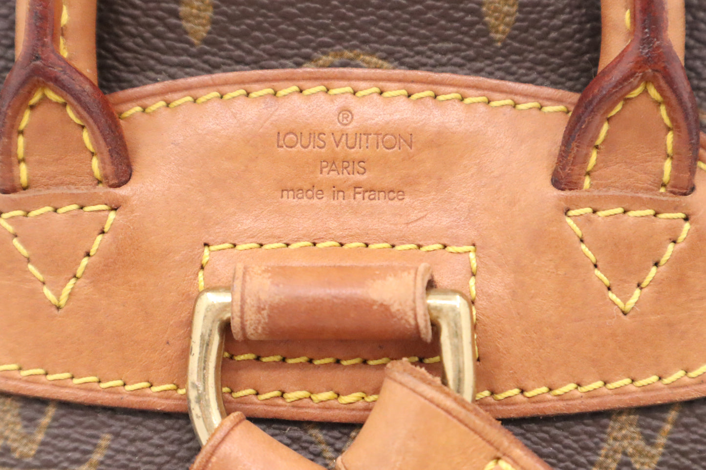 Louis Vuitton Montsouris PM in Monogram Canvas