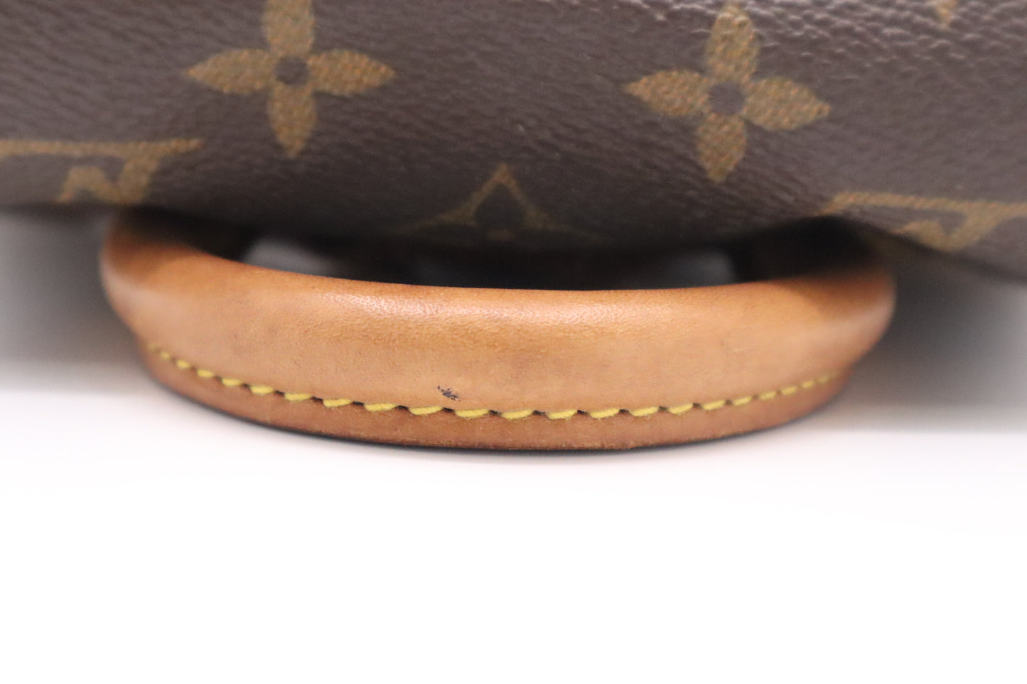 Louis Vuitton Montsouris PM in Monogram Canvas
