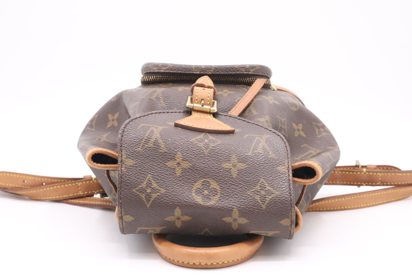 Louis Vuitton Montsouris PM in Monogram Canvas