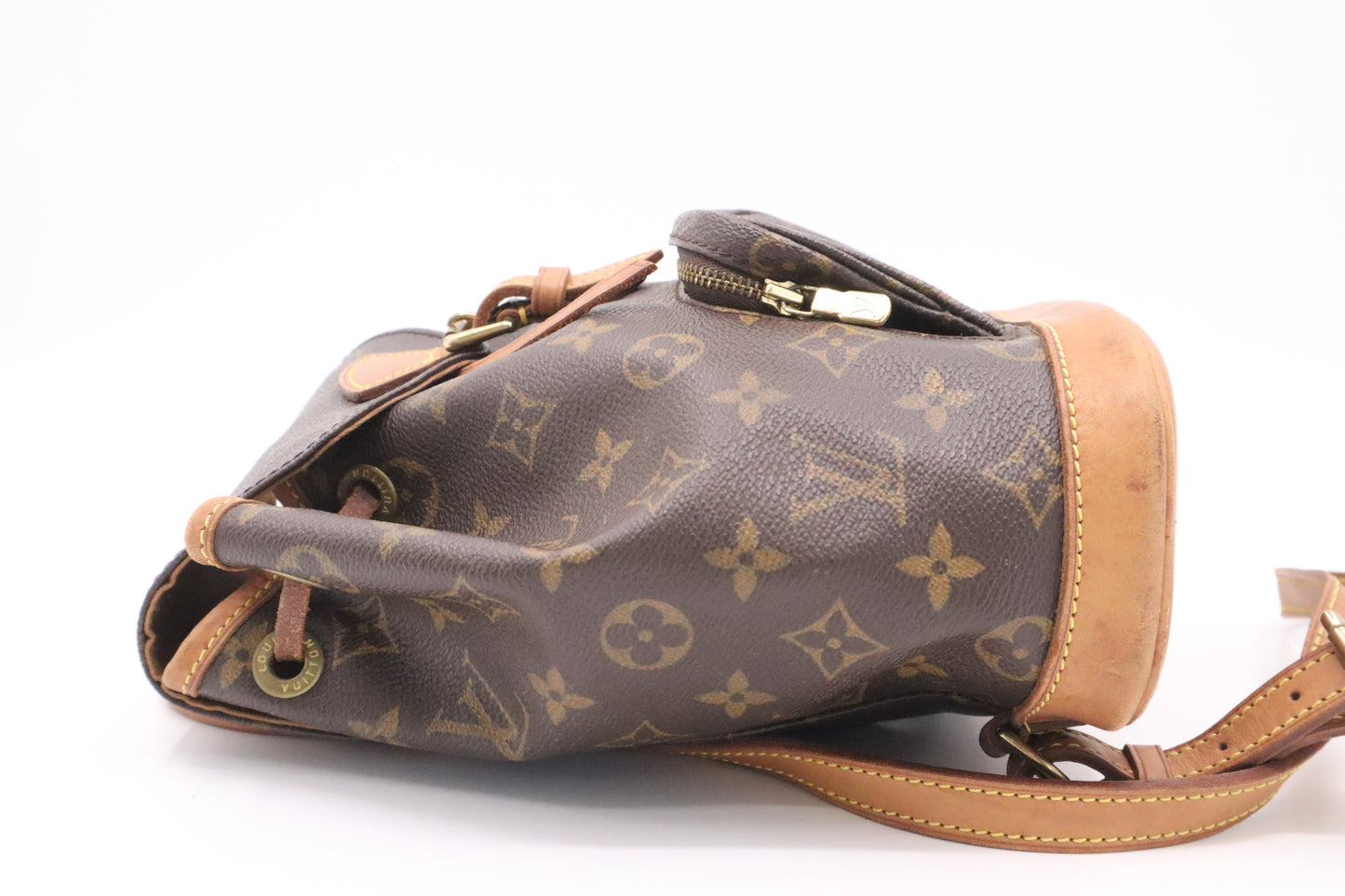 Louis Vuitton Montsouris PM in Monogram Canvas