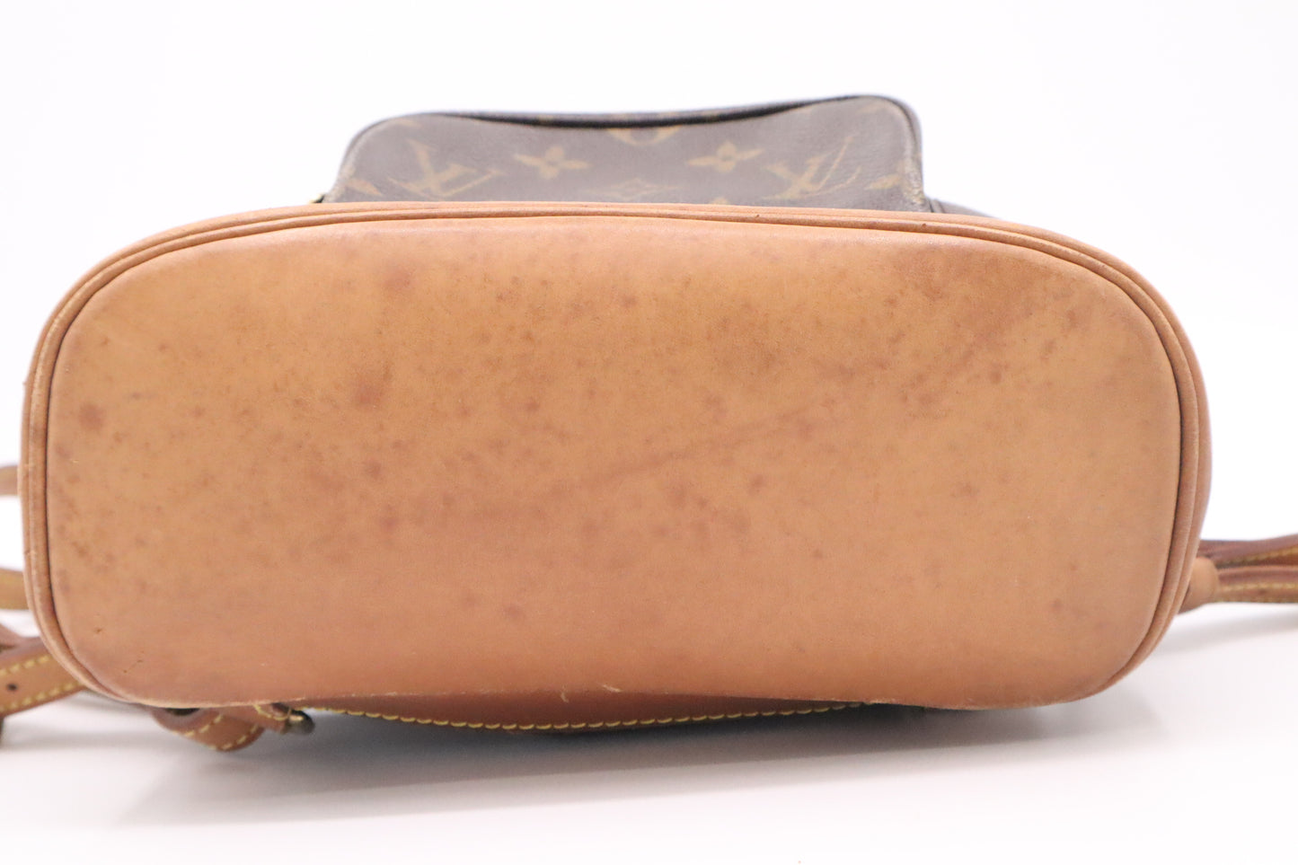 Louis Vuitton Montsouris PM in Monogram Canvas