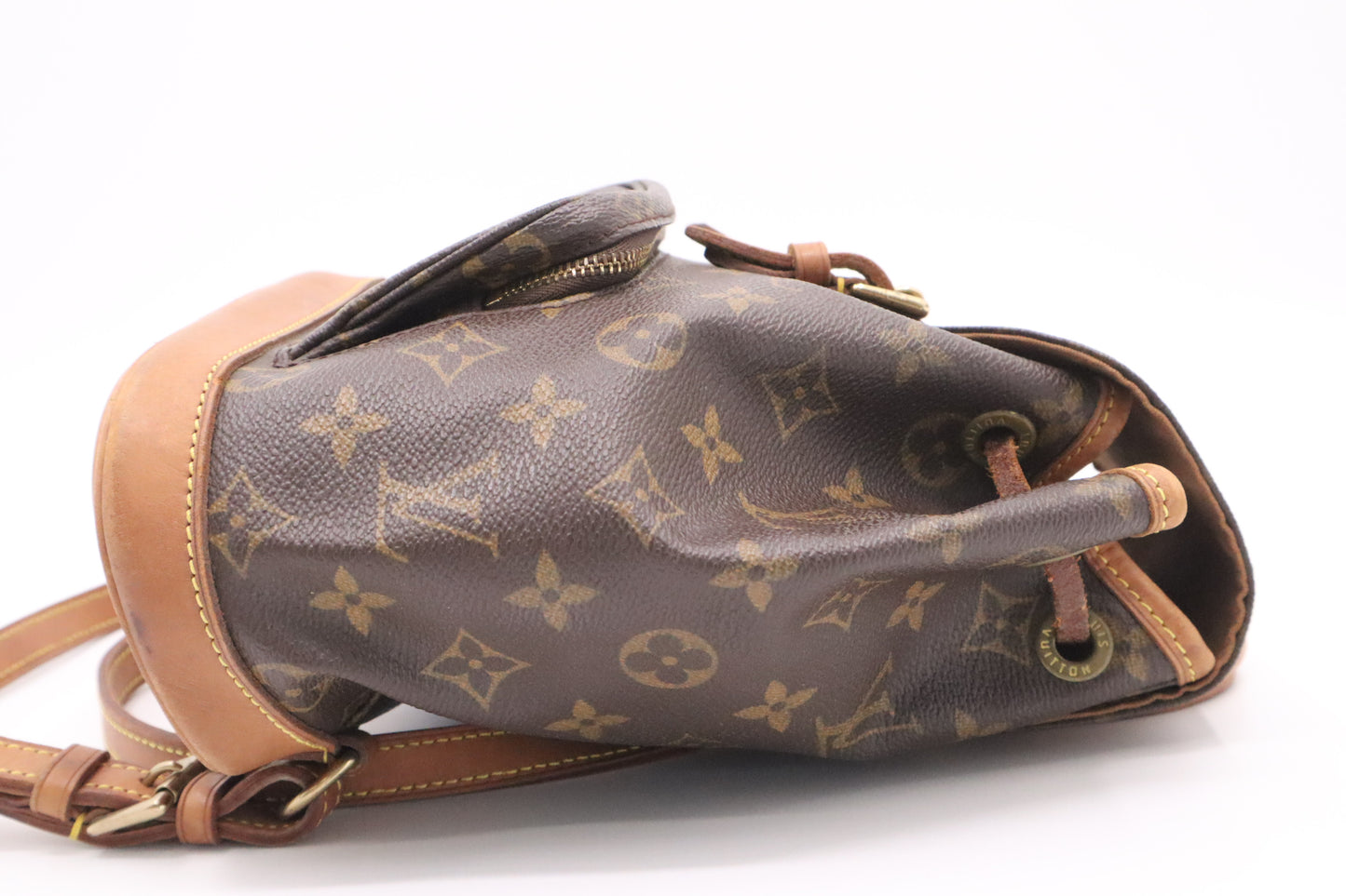 Louis Vuitton Montsouris PM in Monogram Canvas