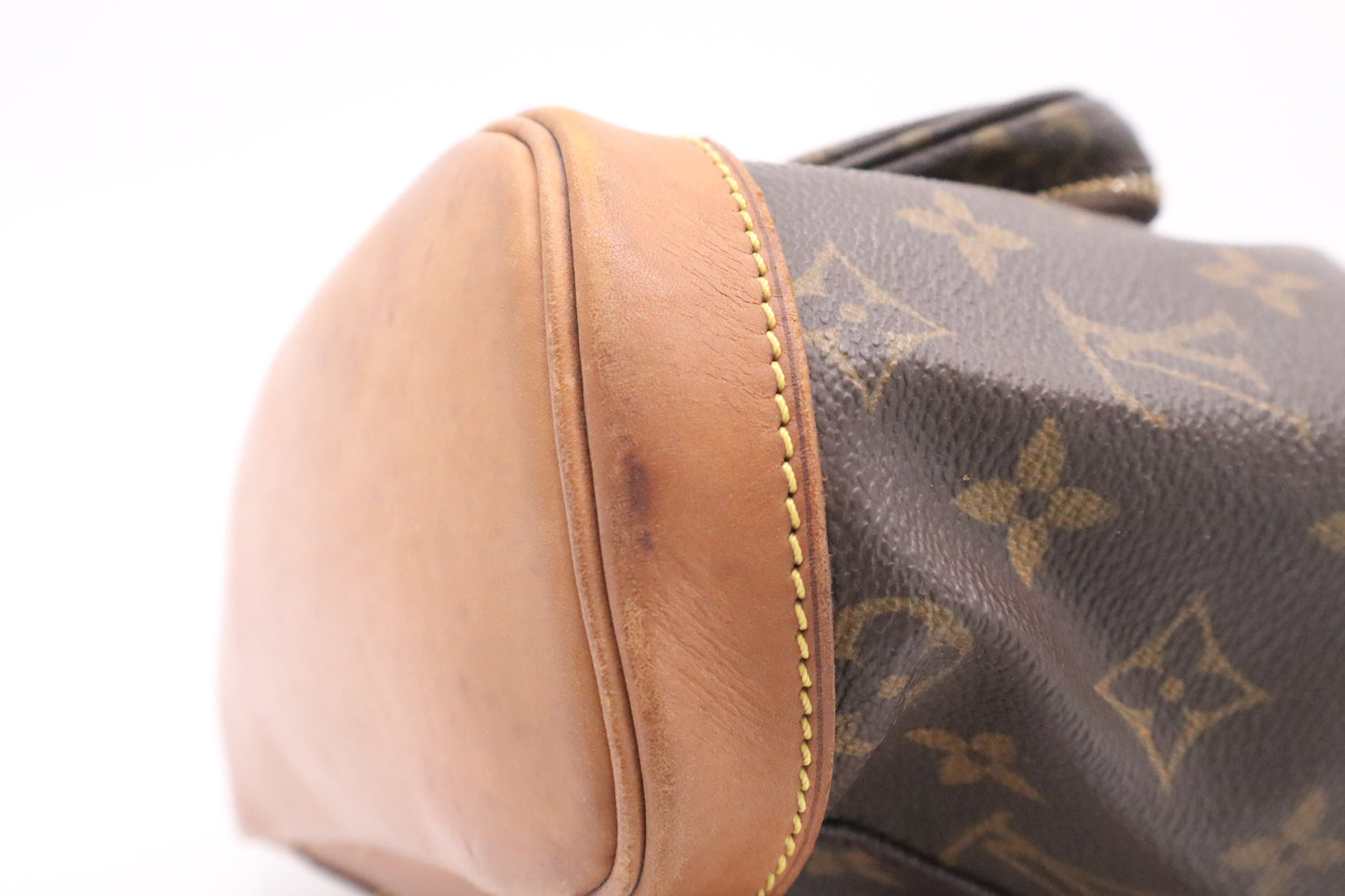 Louis Vuitton Montsouris PM in Monogram Canvas