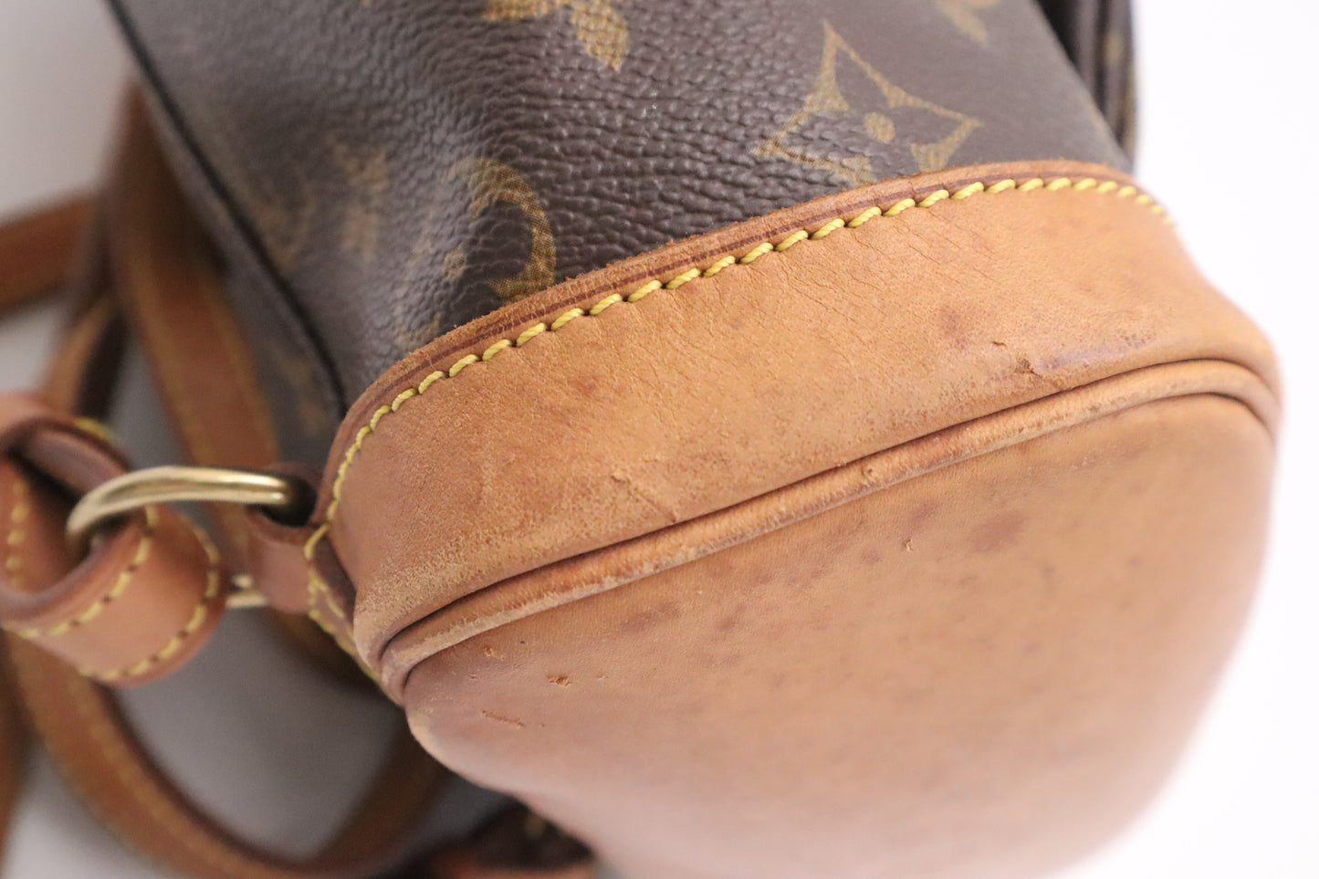Louis Vuitton Montsouris PM in Monogram Canvas