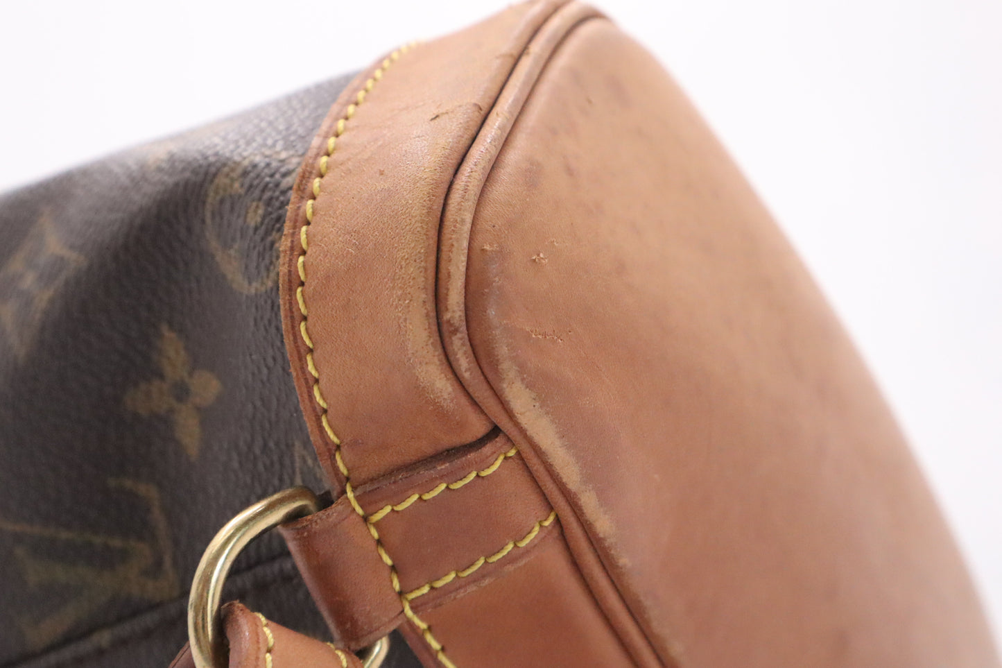 Louis Vuitton Montsouris PM in Monogram Canvas