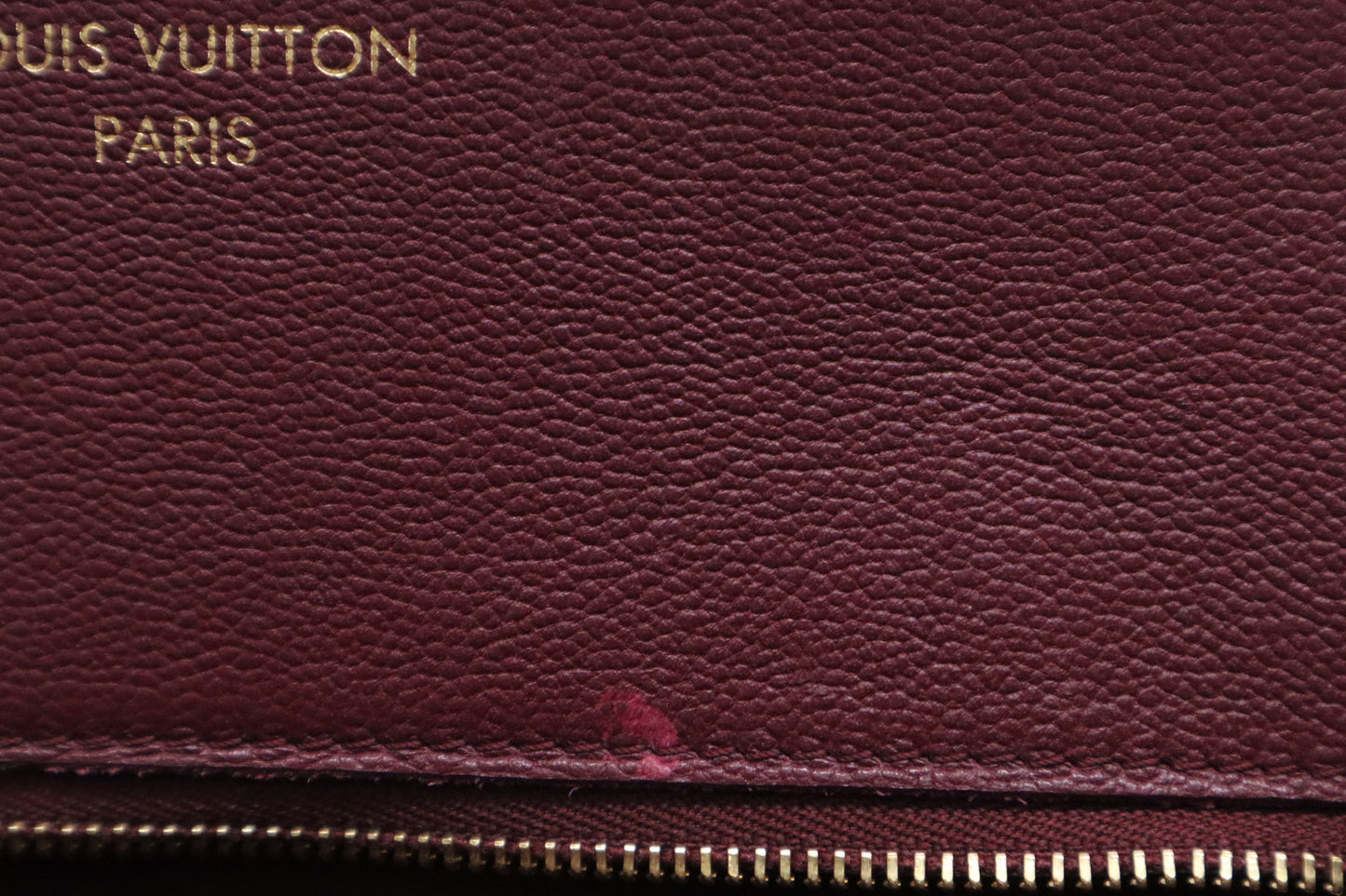 Louis Vuitton Florine Shoulder Bag in Burgundy Leather and Monogram Canvas