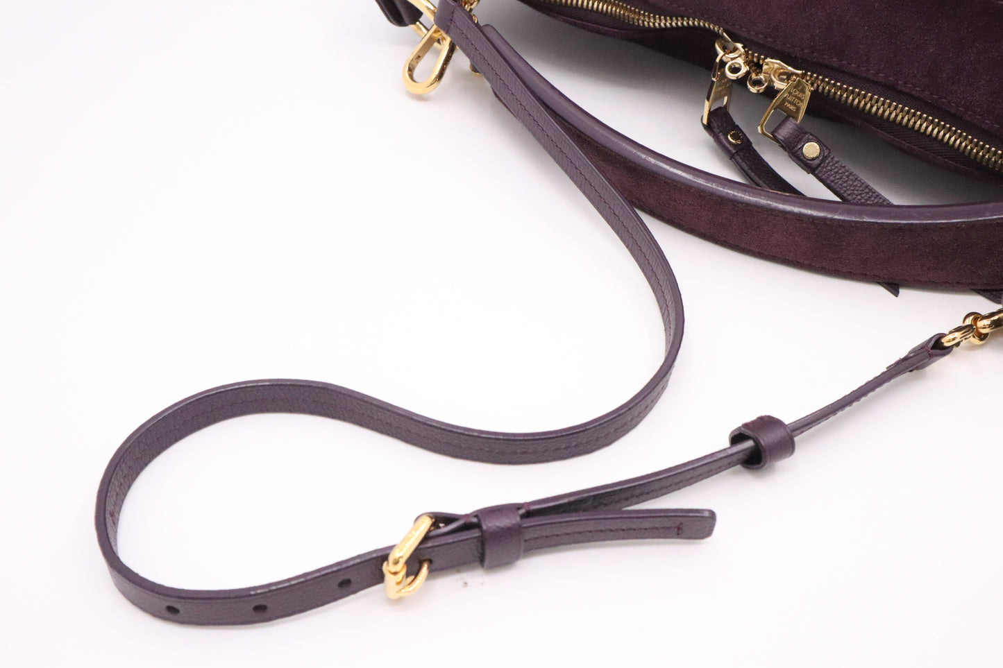 Louis Vuitton Audacieuse in Purple Empreinte Leather