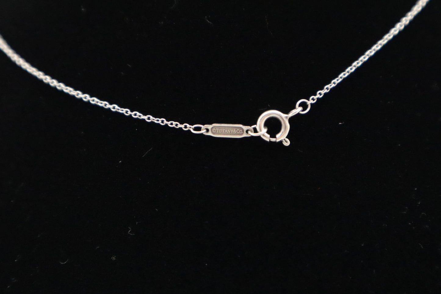 Tiffany & Co. Atlas Ring Necklace in Sterling Silver