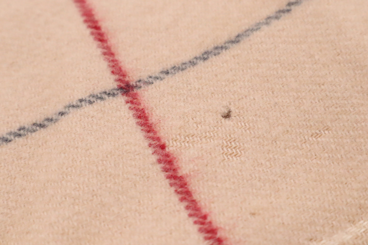 Burberry Scarf in Beige Checked New Wool