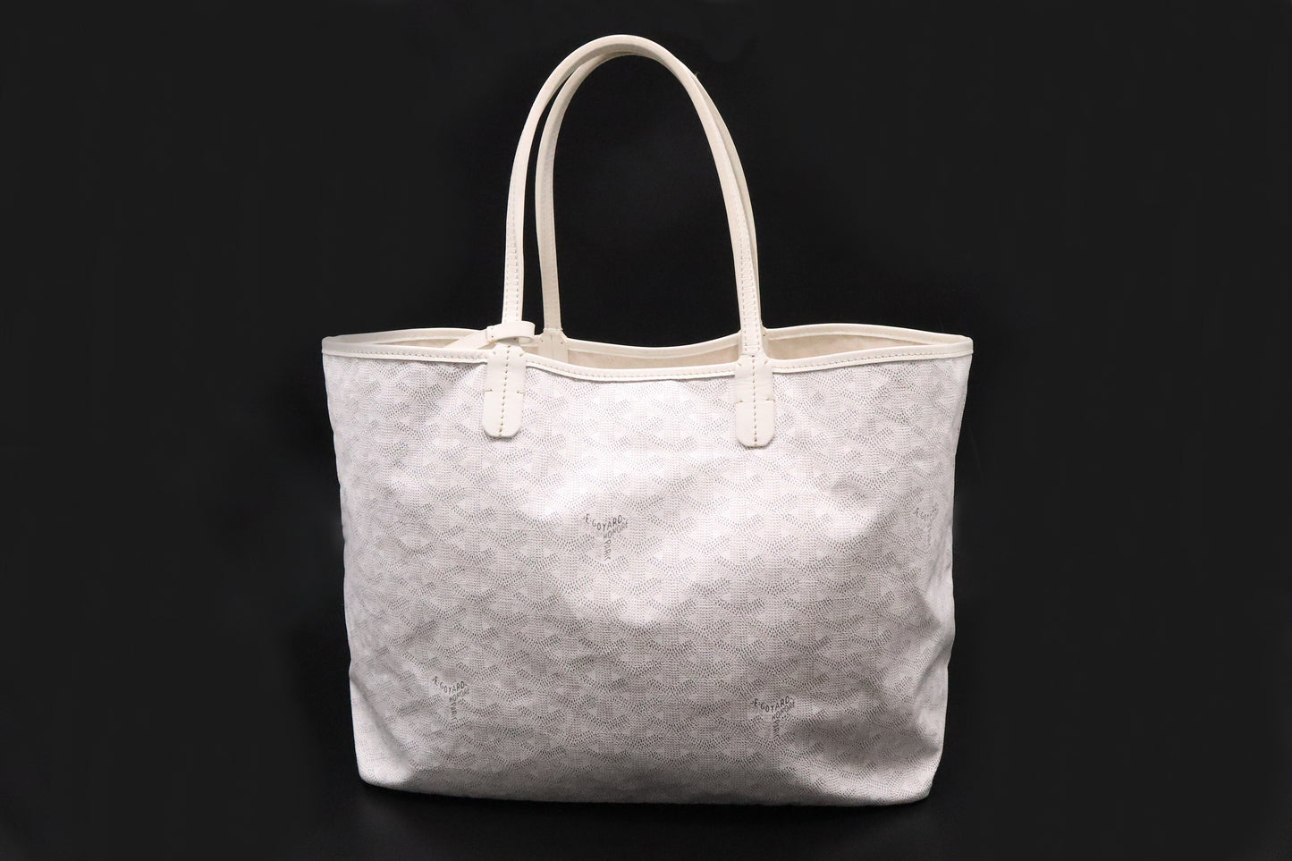 Goyard Saint-Louis PM in White Goyardine Canvas with Blue Stripe