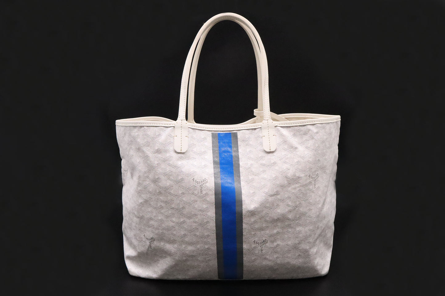 Goyard Saint-Louis PM in White Goyardine Canvas with Blue Stripe