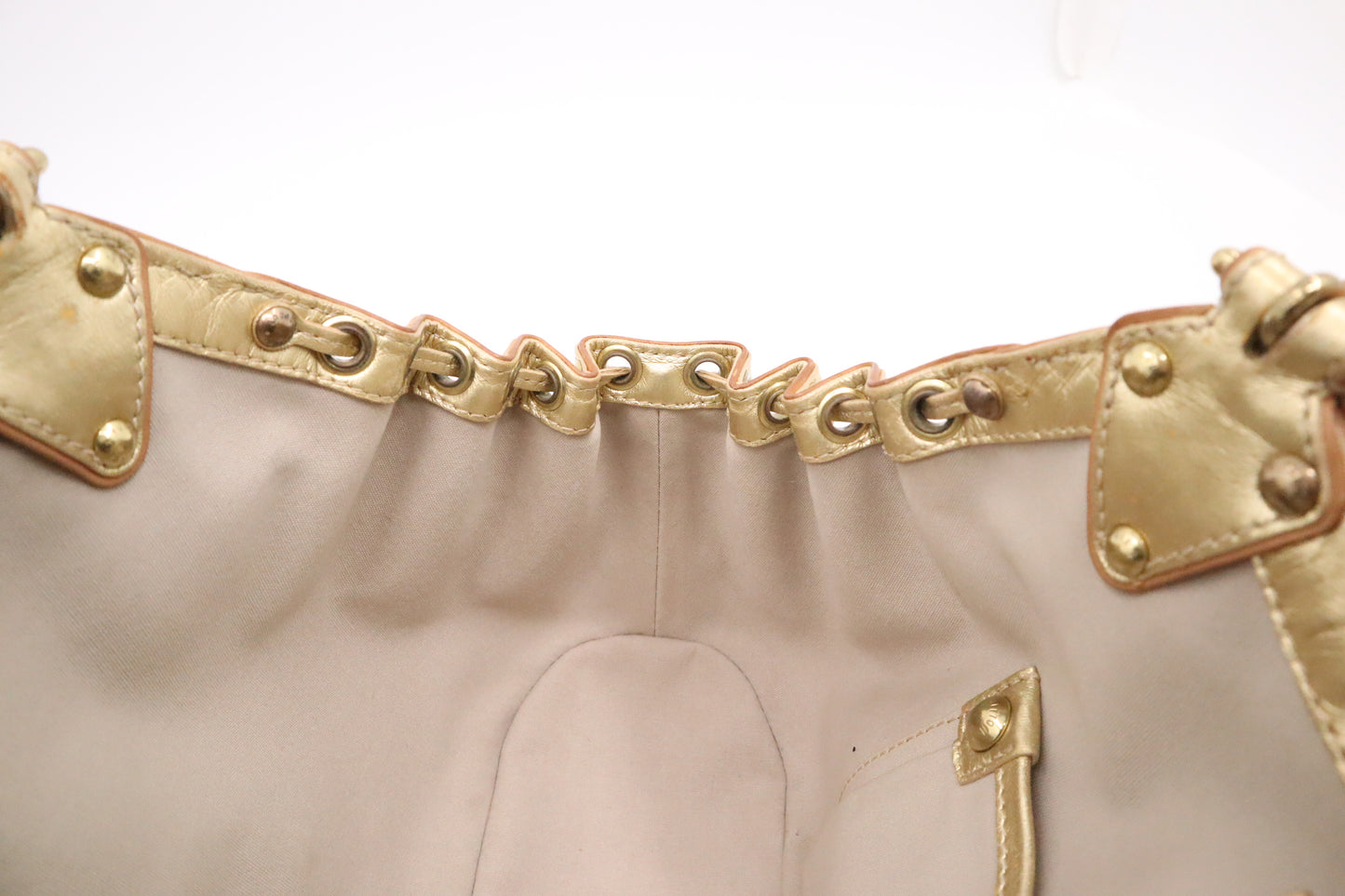 Louis Vuitton Theda GM in Minilin Idylle Canvas