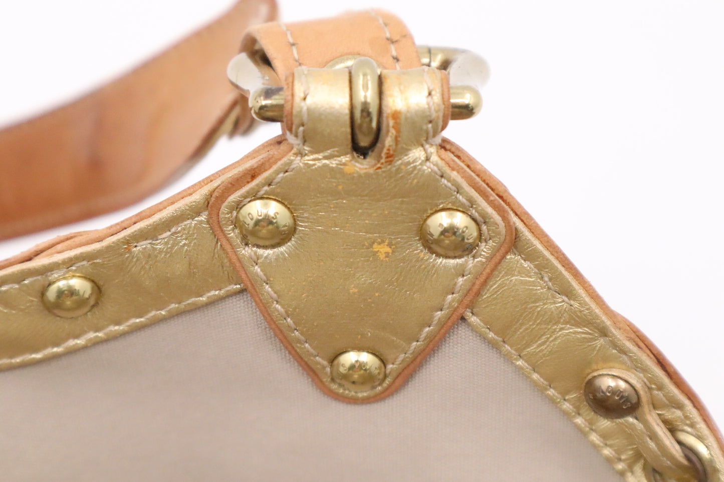 Louis Vuitton Theda GM in Minilin Idylle Canvas