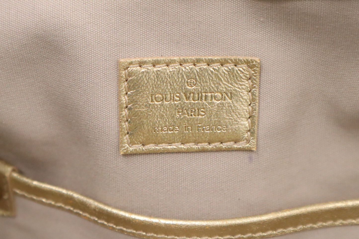 Louis Vuitton Theda GM in Minilin Idylle Canvas