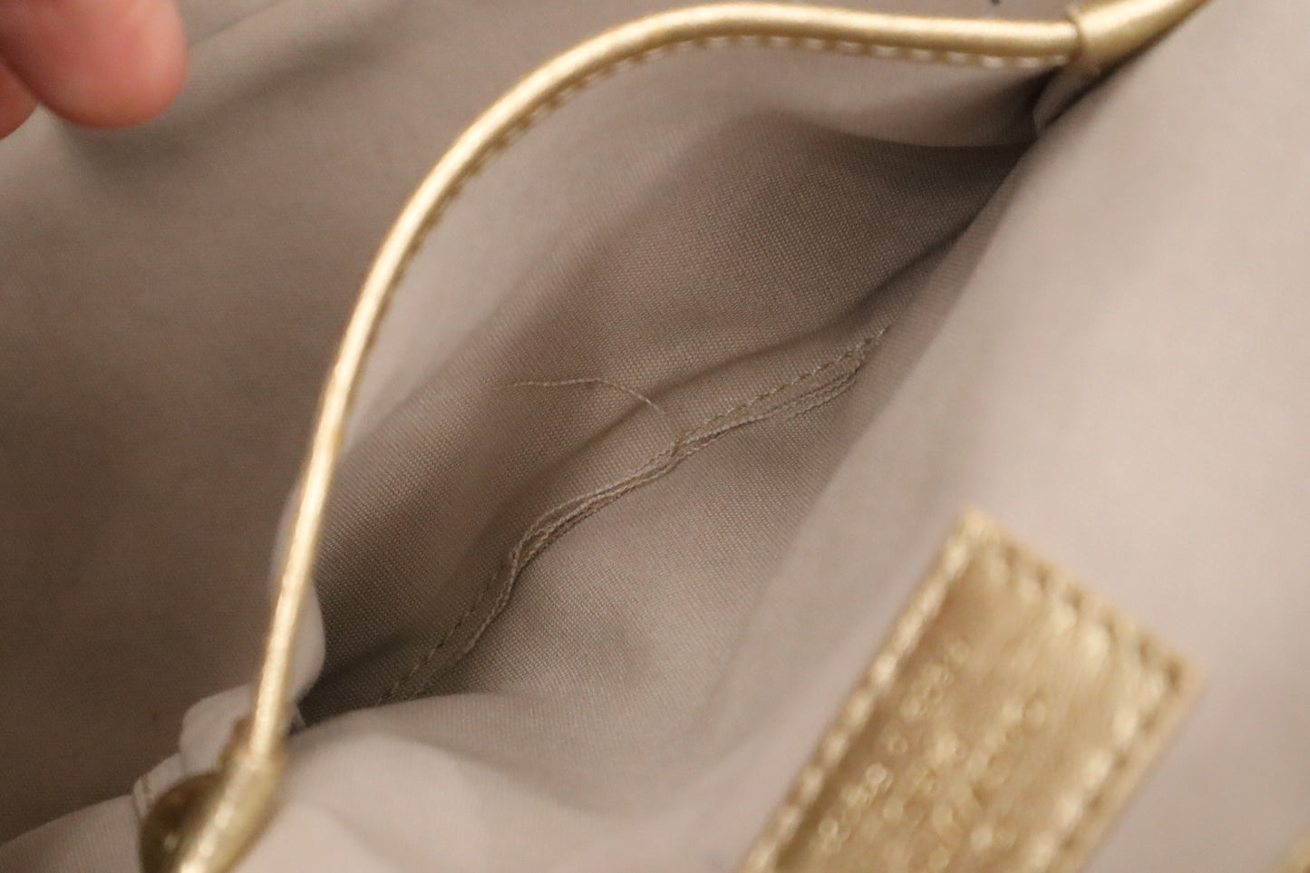 Louis Vuitton Theda GM in Minilin Idylle Canvas