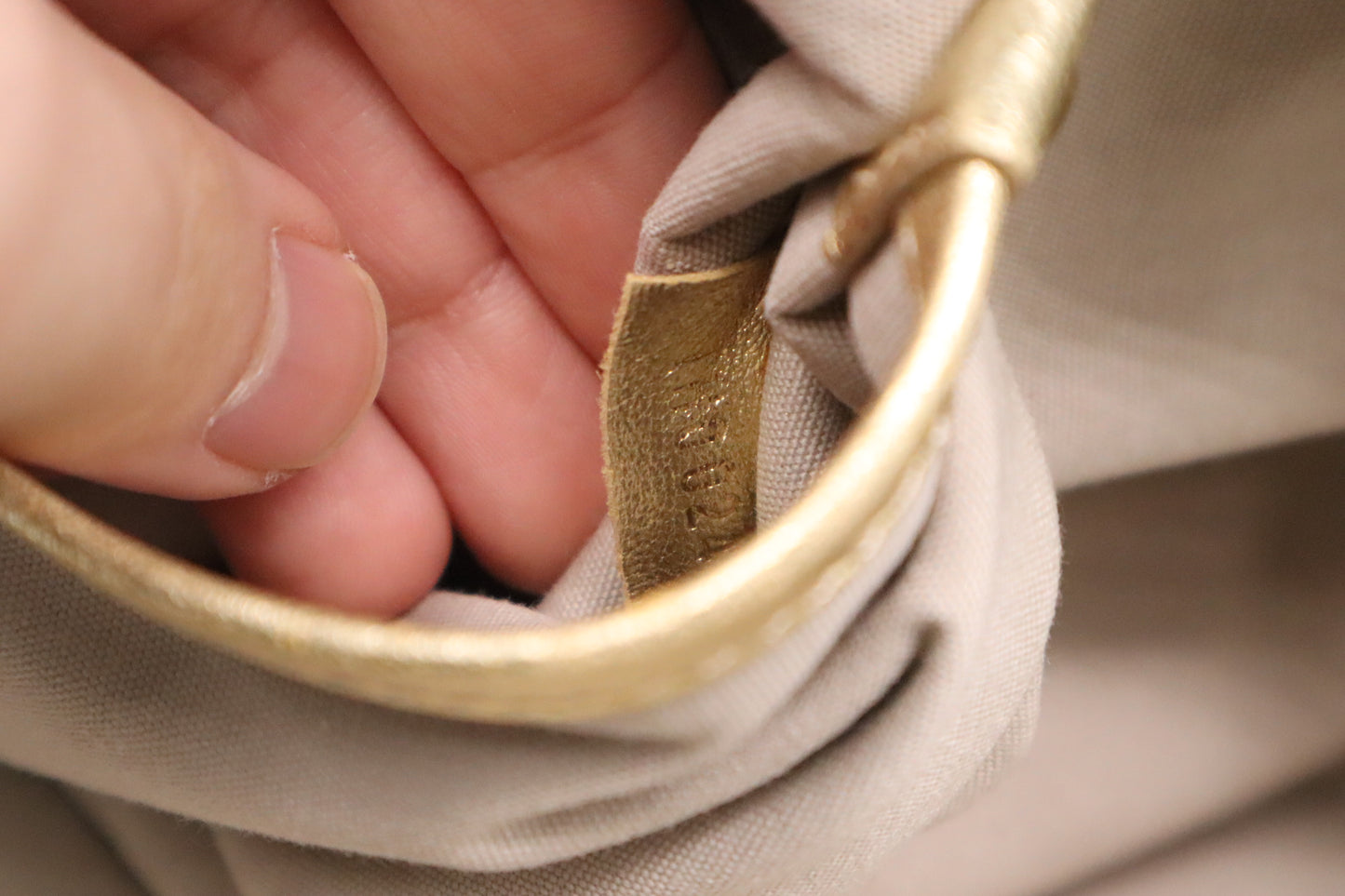 Louis Vuitton Theda GM in Minilin Idylle Canvas