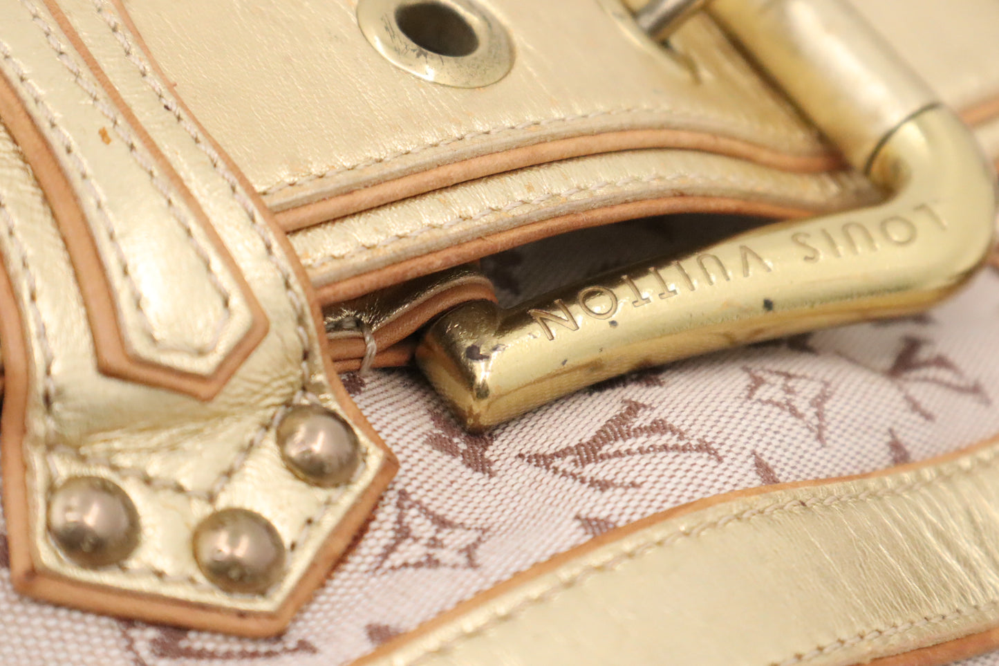 Louis Vuitton Theda GM in Minilin Idylle Canvas