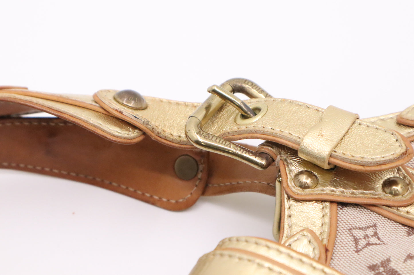 Louis Vuitton Theda GM in Minilin Idylle Canvas