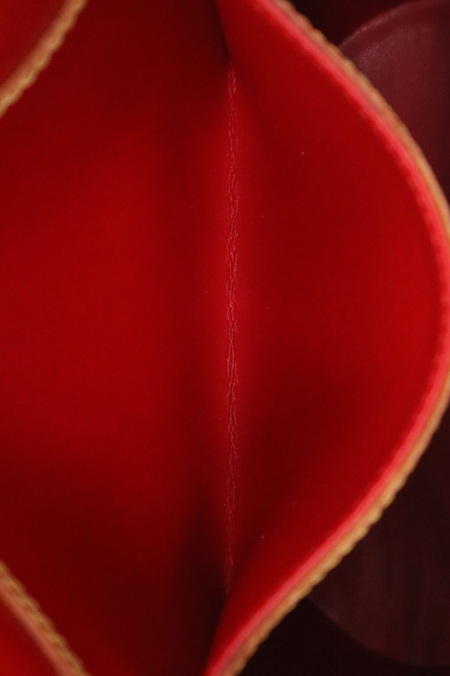 Louis Vuitton Bucket Bag PM in Red Vernis Leather