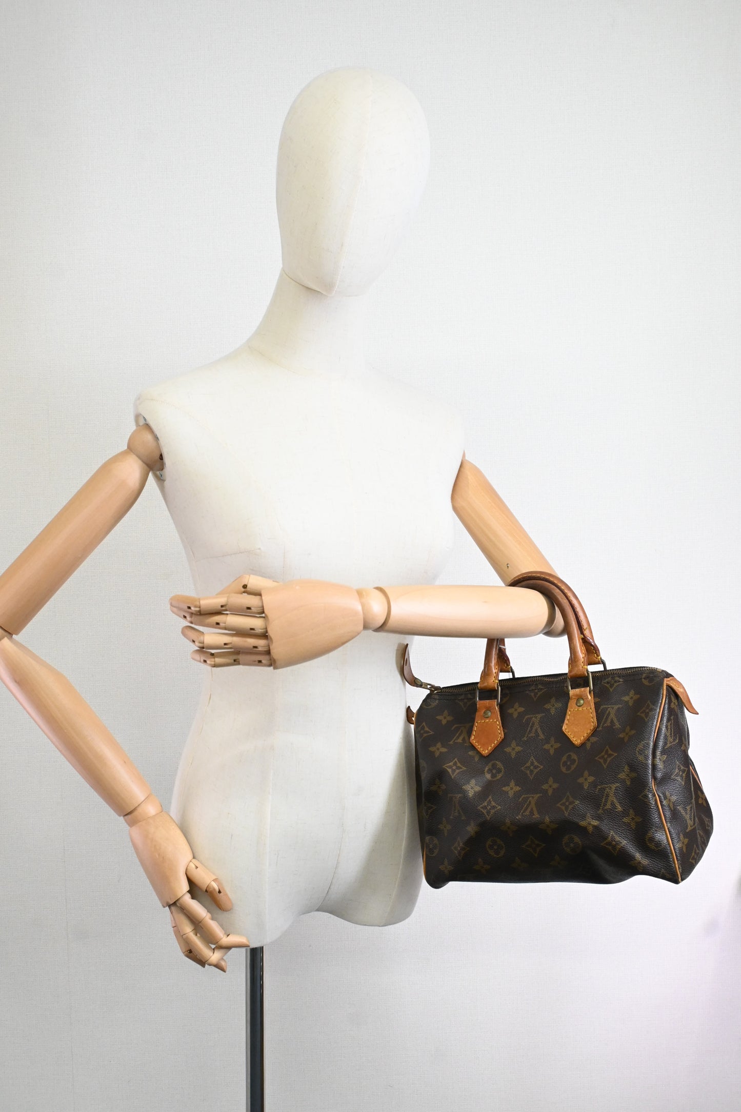 Louis Vuitton Speedy 25 in Monogram Canvas
