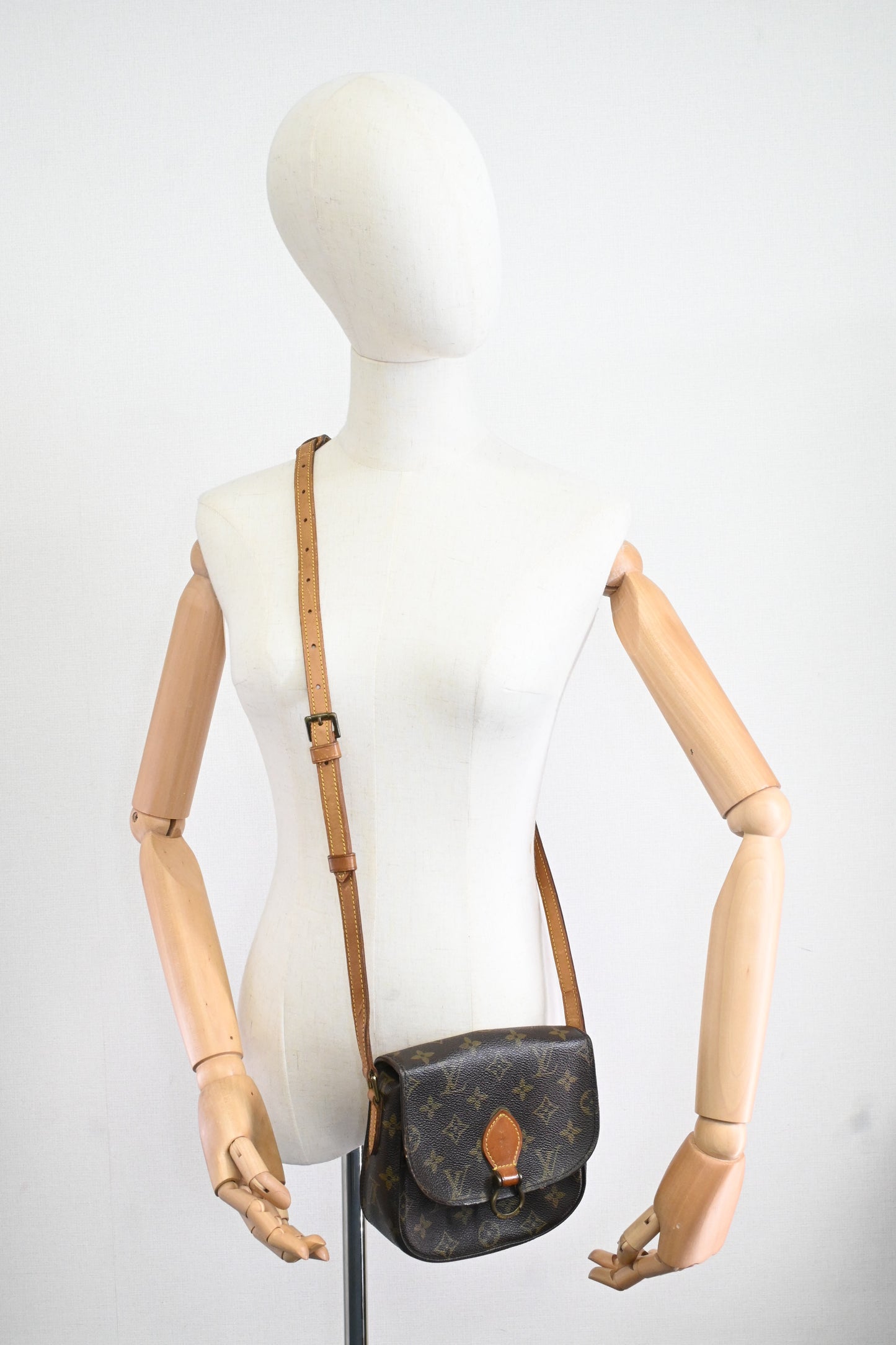 Louis Vuitton Saint Cloud PM in Monogram Canvas
