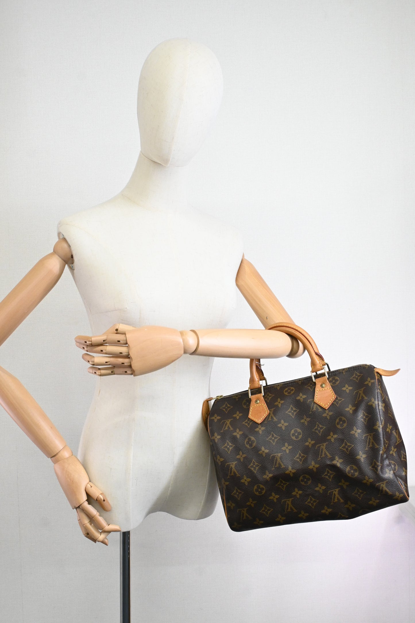 Louis Vuitton Speedy 30 in Monogram Canvas