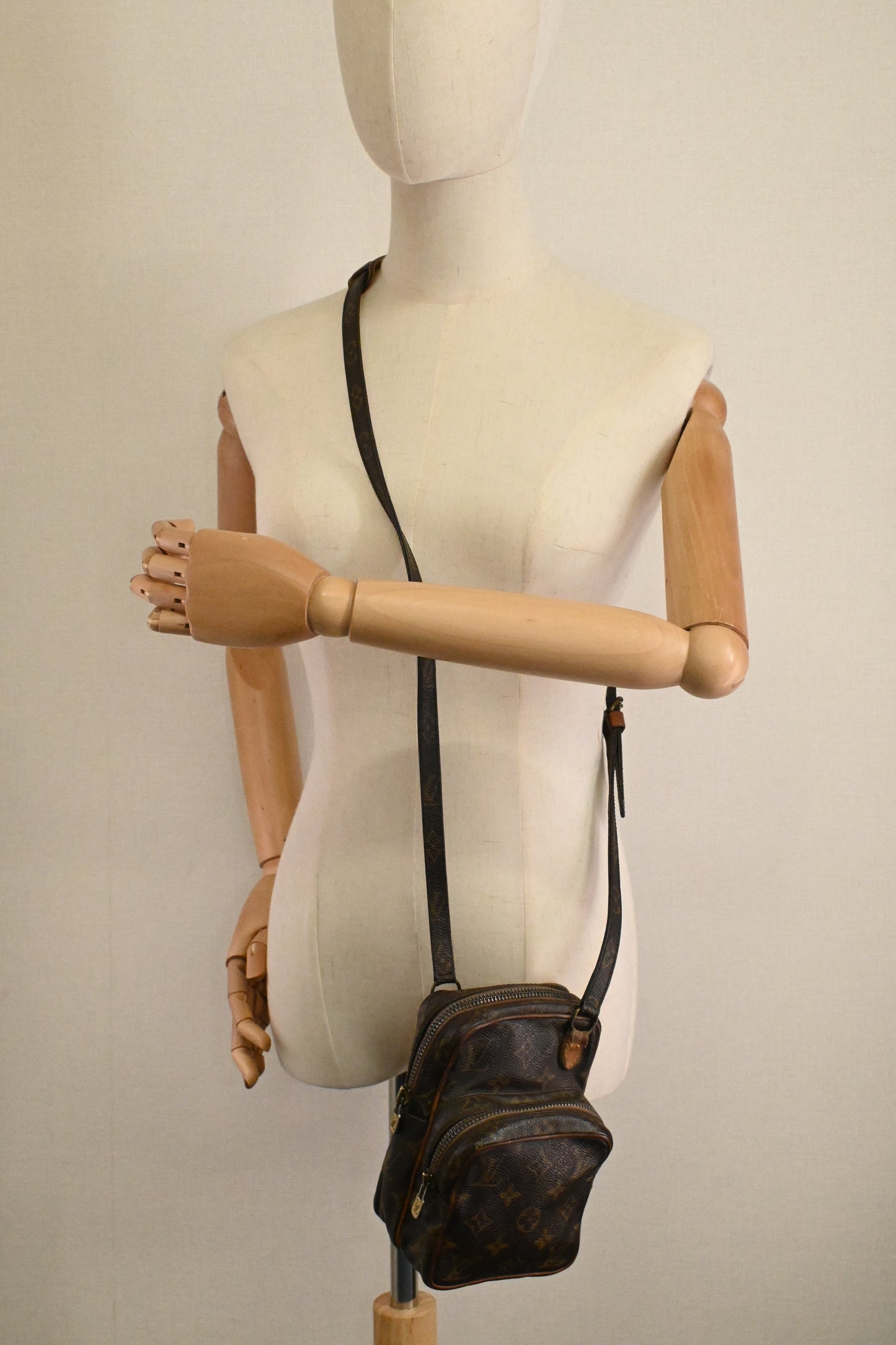 Louis Vuitton Amazone PM in Monogram Canvas