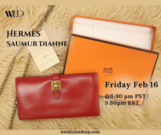 Lovely Hermès Saumur Dianne --Discontinued Vintage Luxury Piece